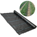 2021 hot sale Black plastic pp woven needle punch ground cover fabric with Lixin factory supply